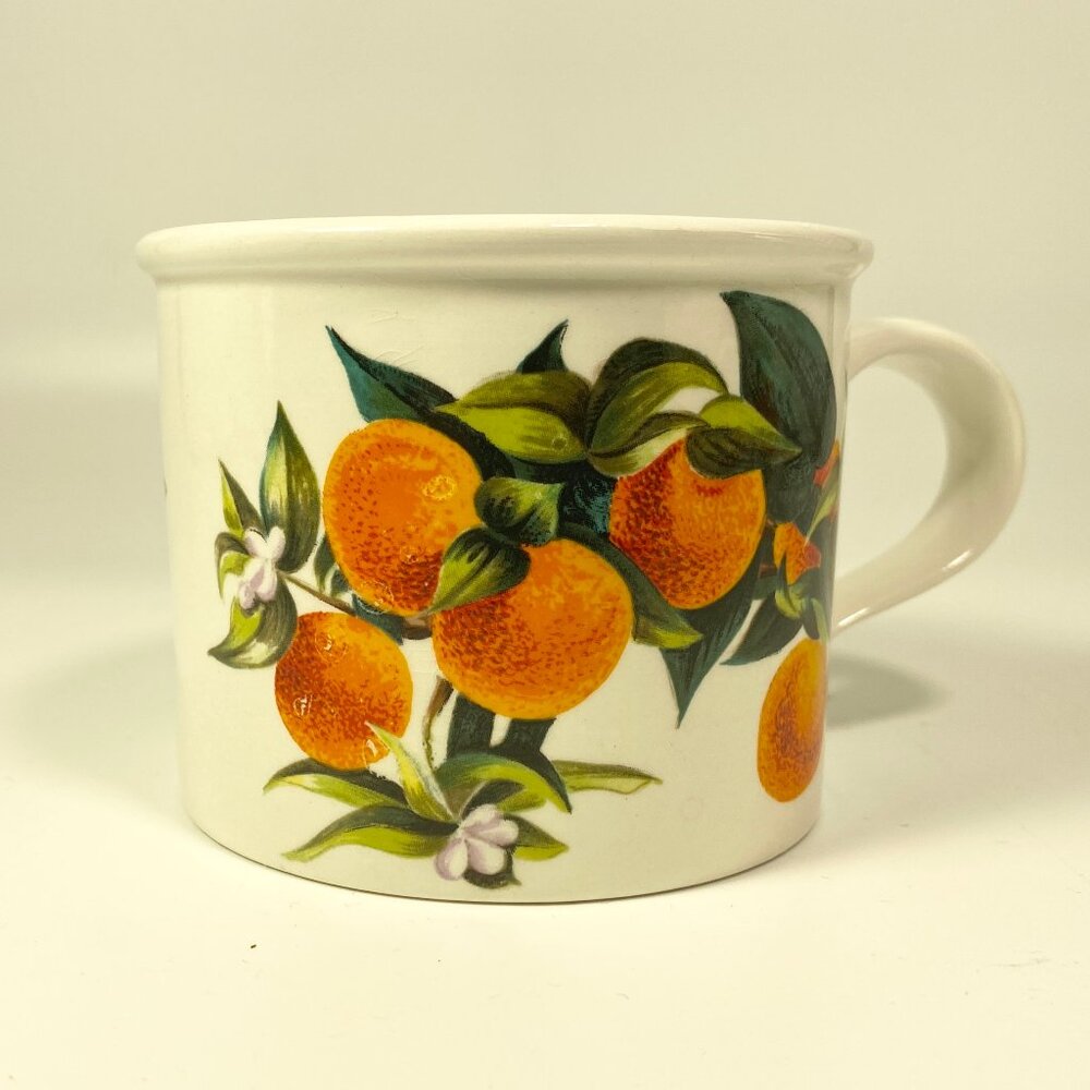 RARE !! Portmeirion Cymru Tea Coffee Cups Mugs Fruits design Oranges & lemons